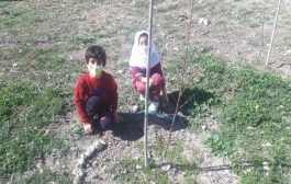 تأمین سیمان مورد نیاز ساخت خانه دو دانش‌آموز چهاردانگه‌ای
